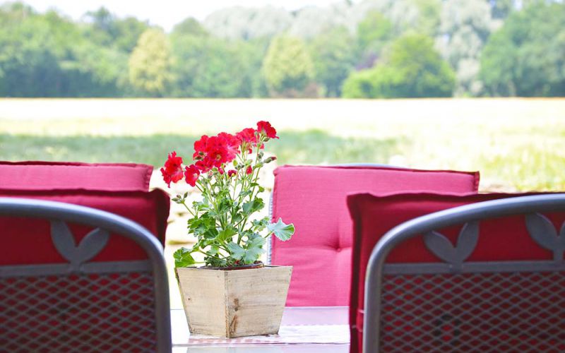 bauernhof-barkmann-ferienwohnung-ladbergen-ausblick.jpg